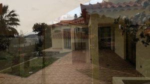 Бизнес на Мадейре / Строительство / Недвижимость