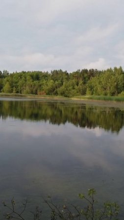 Мысли в слух