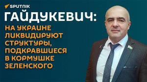 Гайдукевич: на Украине ликвидируют структуры, подкравшиеся в кормушке Зеленского