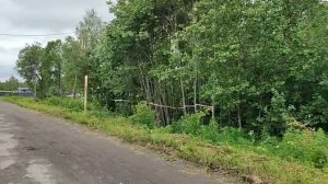 Участок 13 соток у озера Онего — тишина, природа и удобства рядом