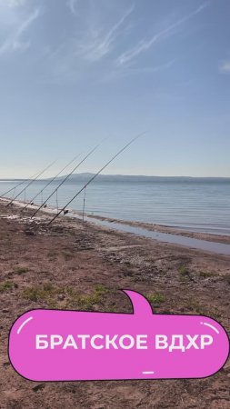 утро на братском море. рыбалка на стадионе ТРУД
