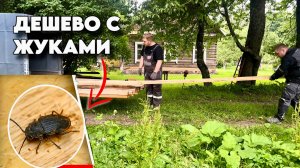 Купил дешевый лес и привез домой ДРЕВОТОЧЦА. Пол на второй этаж из ОSB #хочувдеревню #хутор