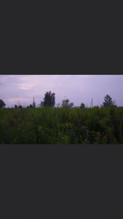 Сельские пейзажи | Эстетика