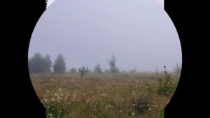 23 июля. Ранняя утренняя прогулка...