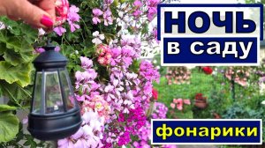 Жара такая, что балдеем в саду только ночью. световые лайфакии в саду