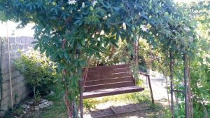 Изумрудные воды Чёрного моря