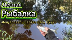 ЛЕС РЕКА РЫБА ЯГОДЫ ГРИБЫ РЫБАЛКА РАССТВОРЯЯСЬ ДУШОЙ В ПРОСТОТЕ, Я ЖИВУ НА ЗЕМЛЛЕ В КРАСОТЕ!