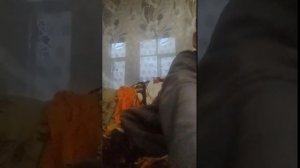 привет
