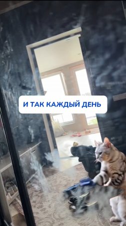 Только не говорите, что у вас не так к вечеру 😅