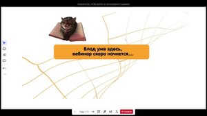 Органоиды клетки 2