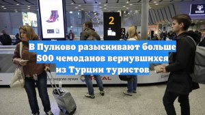 В Пулково разыскивают больше 500 чемоданов вернувшихся из Турции туристов