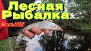 СПАСИБО! РЕКА ГОВОРЮ ВСЕГДА ДЛЯ МЕНЯ ИНТЕРЕСЕН ПРОЦЕС РЫБАЛКИ