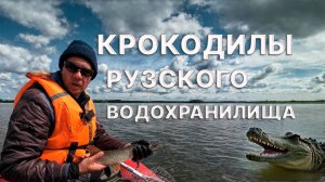 Рыбалка на Рузском водохранилище.