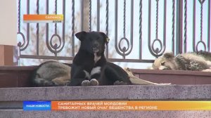 Санитарных врачей Мордовии тревожит новый очаг бешенства в регионе