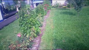 От Вилла Риба к Вилла Баджио еще один день/From Villa Riba to Villa Baggio one more day