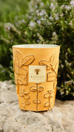 Baobab Collection FOLIA Collection