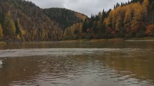 Осень, Кия 2020.