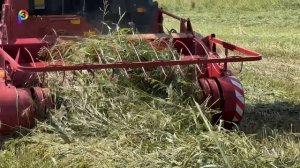 Заготовка сенажа