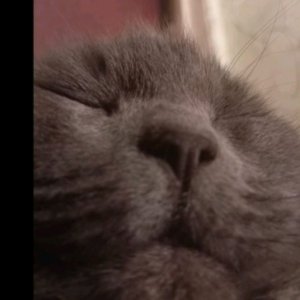 подписывайтесь на мой ТГ канал вот он 
https://t.me/odjrjd