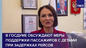 В Госдуме обсуждают меры поддержки пассажиров с детьми при задержках рейсов