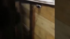 1000257279.mp4