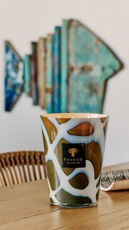 Baobab Collection HAND-BLOWN