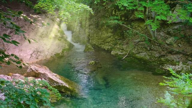 🌤 Умиротворяющая атмосфера Лесной реки
