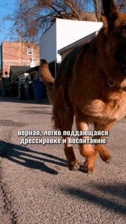 🎁Бесплатные уроки. Жми сюда!