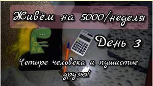 5000 рублей на неделю: Четыре человека и пушистые друзья//день3