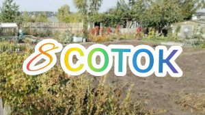 ДАЧА 6 СОТОК//НАША ЗАБРОШКА//ПРОДОЛЖАЕМ ПОИСКИ ГРЯДОК//ЧТО С ЭКСПЕРИМЕНТОМ ПОСЕЯННЫХ ОГУРЦОВ В ИЮЛЕ?