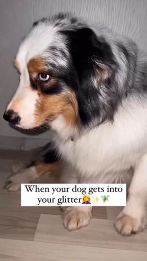 1000257275.mp4