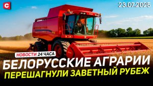 Первый миллион тонн зерна намолотили белорусы | Мор рыб в Новогрудском районе | Новости 23.07