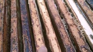 95_осмотр_210725