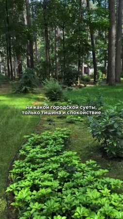♀️ #ландшафт #дача #садоводничество #стройка #обзордачи #сад #сорт