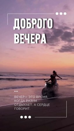 Вечером говорит разум)
