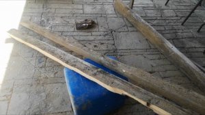 Шпалера из старых досок женскими руками