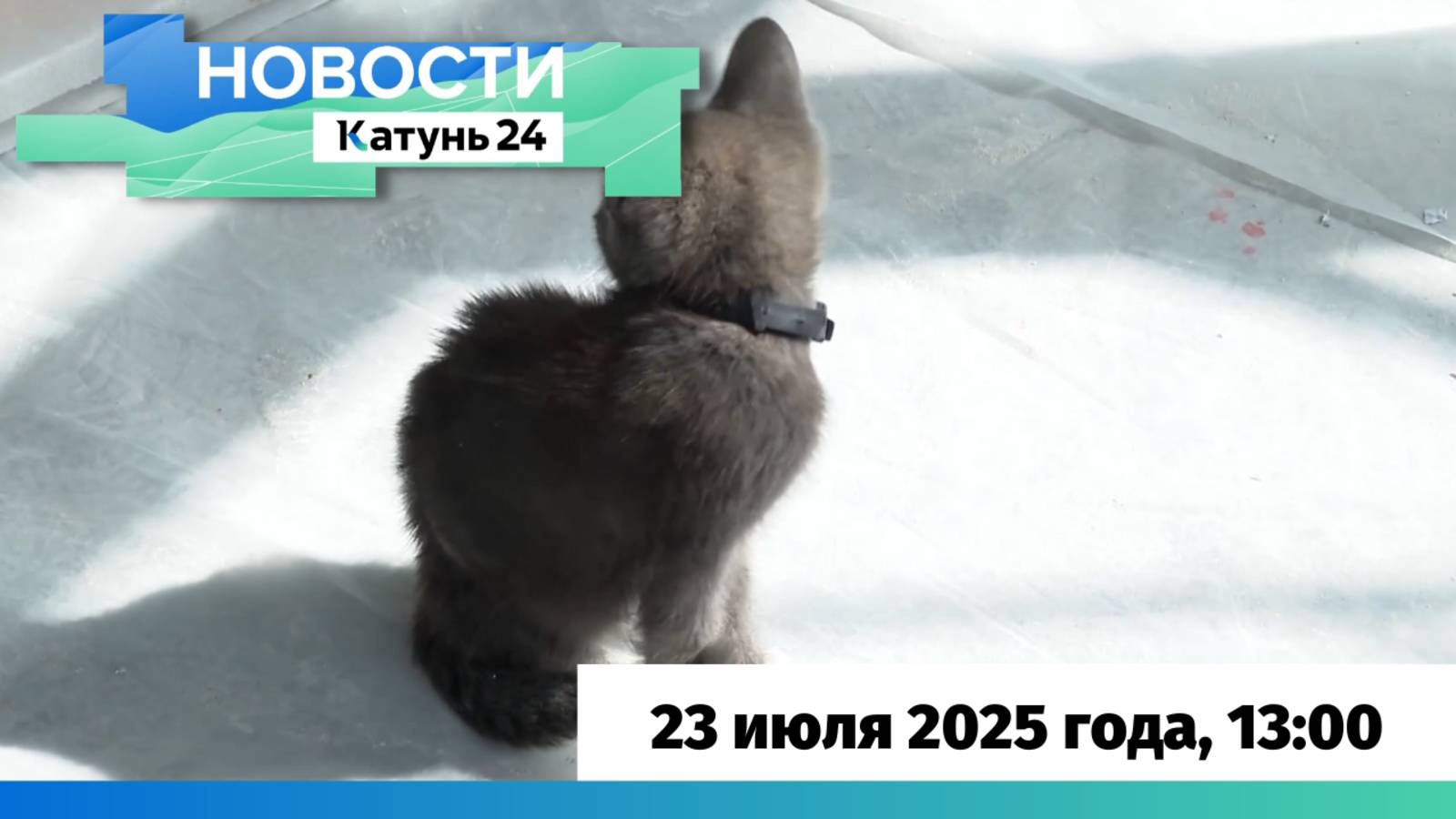 Новости Алтайского края 23 июля 2025 года, выпуск в 13:00