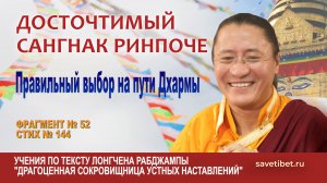 Сангнак Ринпоче. Сложности и правильный выбор на пути Дхармы