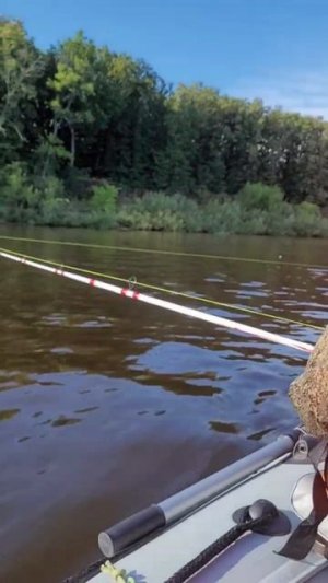 ураааа я смог выпустить видео!!!
