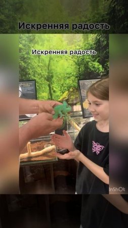 Домашнятина, искренняя радость