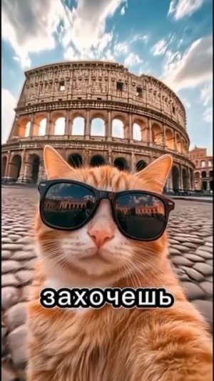 слушай только кота будь ленивым и вообще не парься😂😂😂