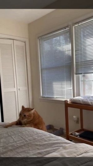 1000257272.mp4