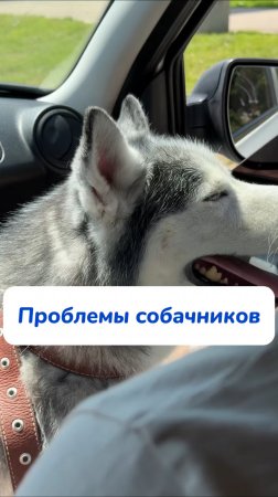 Справится со всеми пятнами и разводами на окнах и зеркалах! Арт на WB #269153142 
Ozon #1740810271
