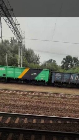 🚆МЦД-2 в сторону Москвы встали поезда🚆