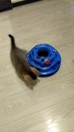 1000017802.mp4