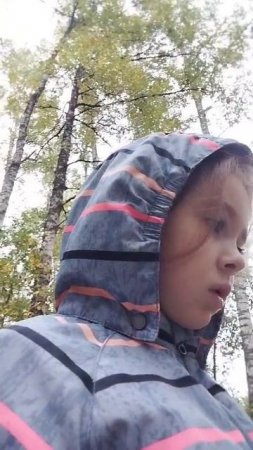 В лесу