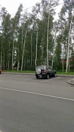 Ну и погодка