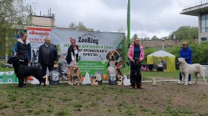 24.05.2025, СПб. Клуб "Аллен" (РКФ, ОАНКОО). Выставка собак САС 2 группы FCI