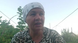 Неудобно просить деньги. Хочу поехать. Борьба с урожаем и сорняками)