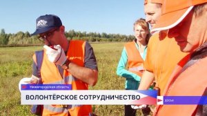 Нижегородские волонтёры провели стратсессию с коллегами из Владимирской области